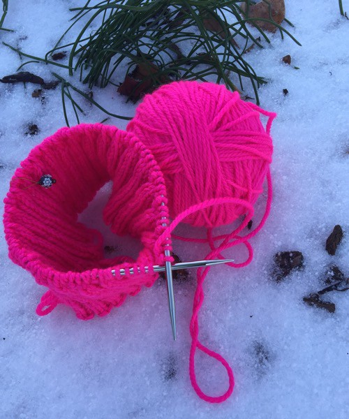 Pussy Hat in the Snow